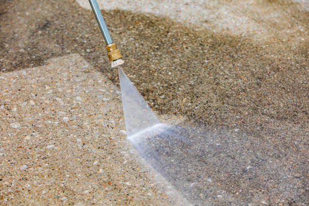 Best Animal Enclosure Cleaning  in Rk Forest Village, PA